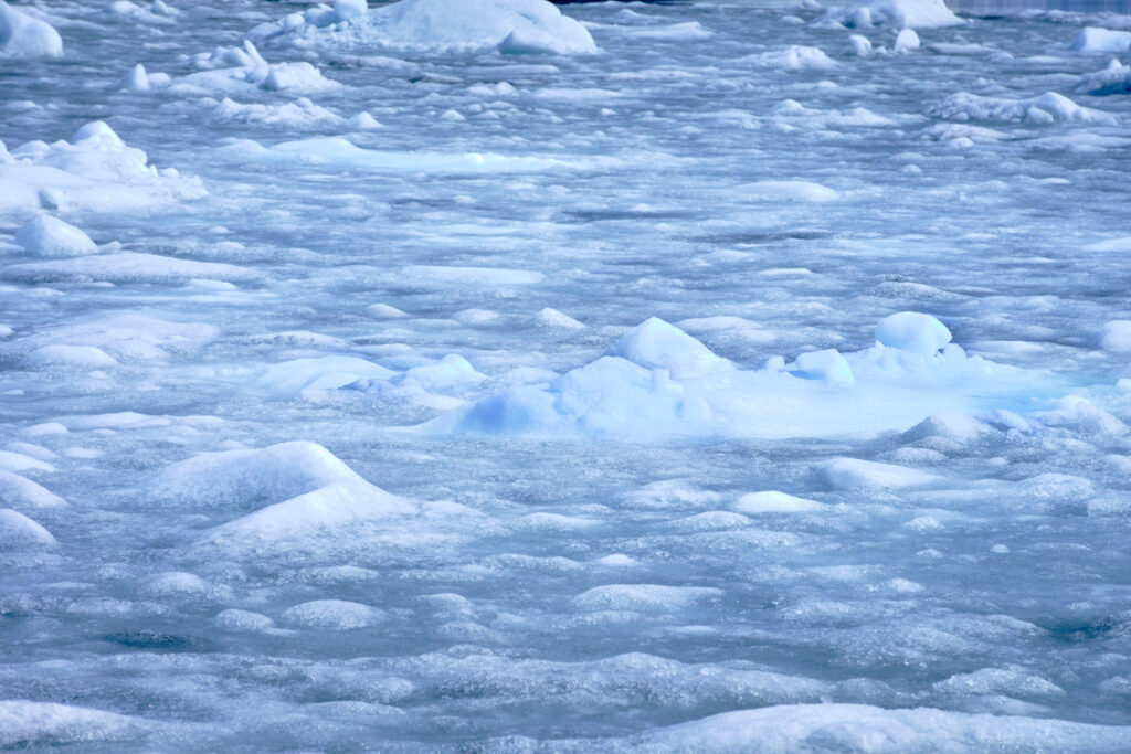 Packed ice in the water the Nuuk Icefjord on a boat tour with Guide to Greenland