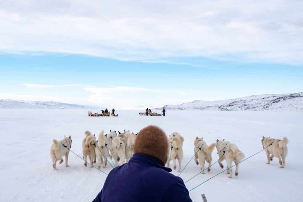 Dogsledding from Kangerlussuaq to Sisimiut