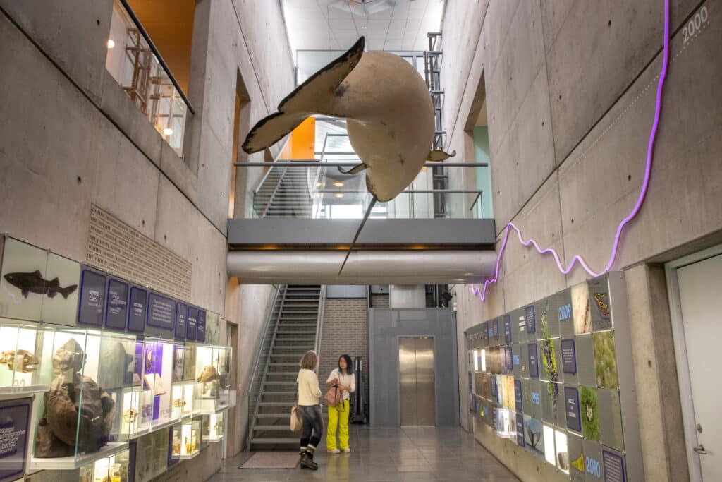 Main public hall in the Institute for Natural Resources that lies near the University of Greenland