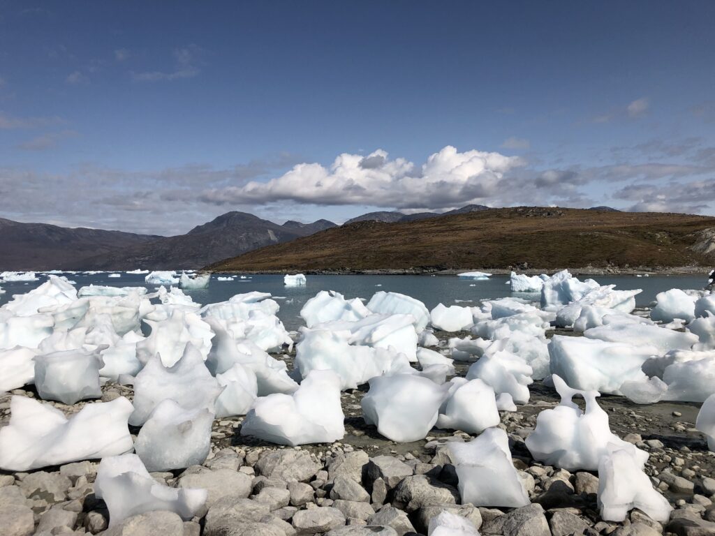 Icebergs in the beach near Kapisillit