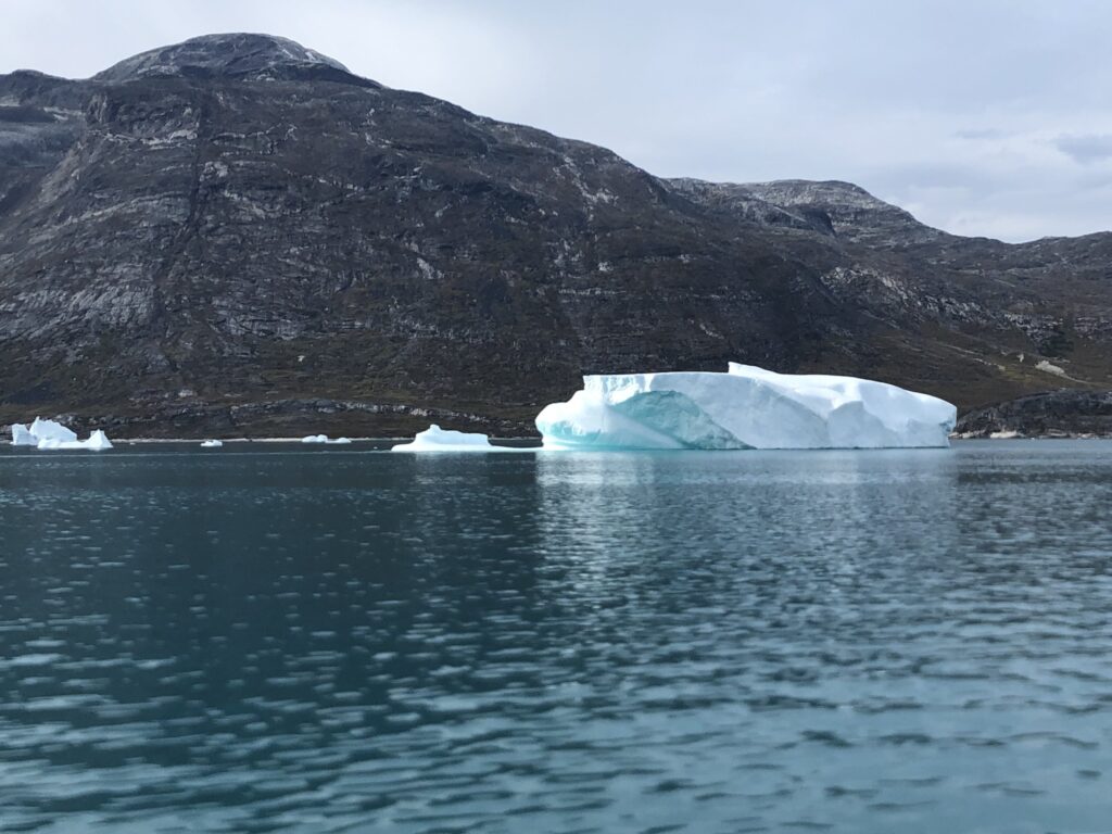 Large iceberg in water