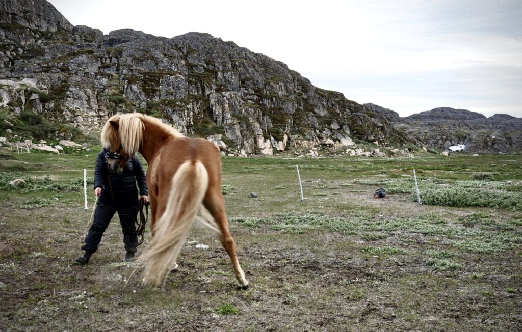 Woman dancing with a brown horse