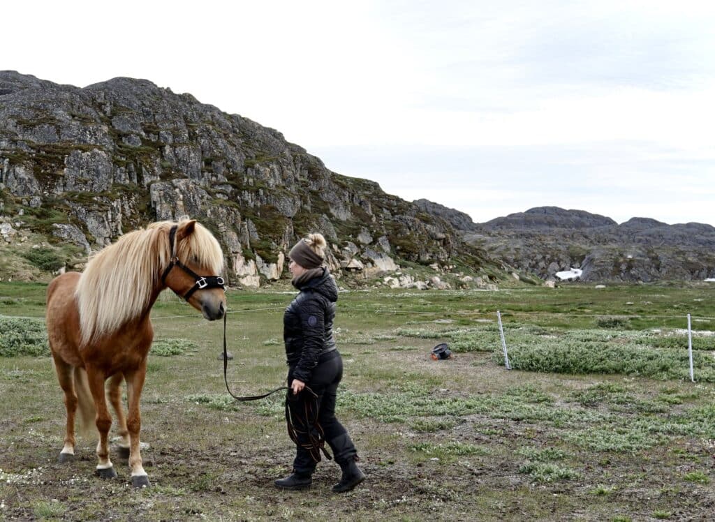 Woman talking to a brown horse