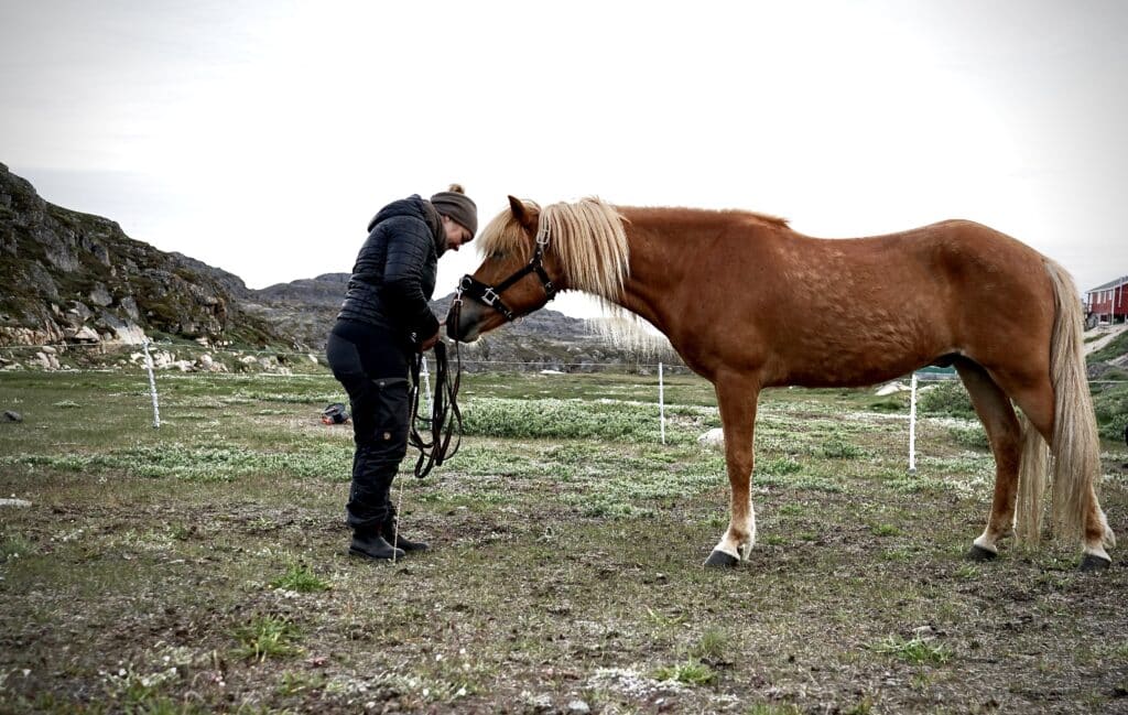Woman thanking a horse for the dance
