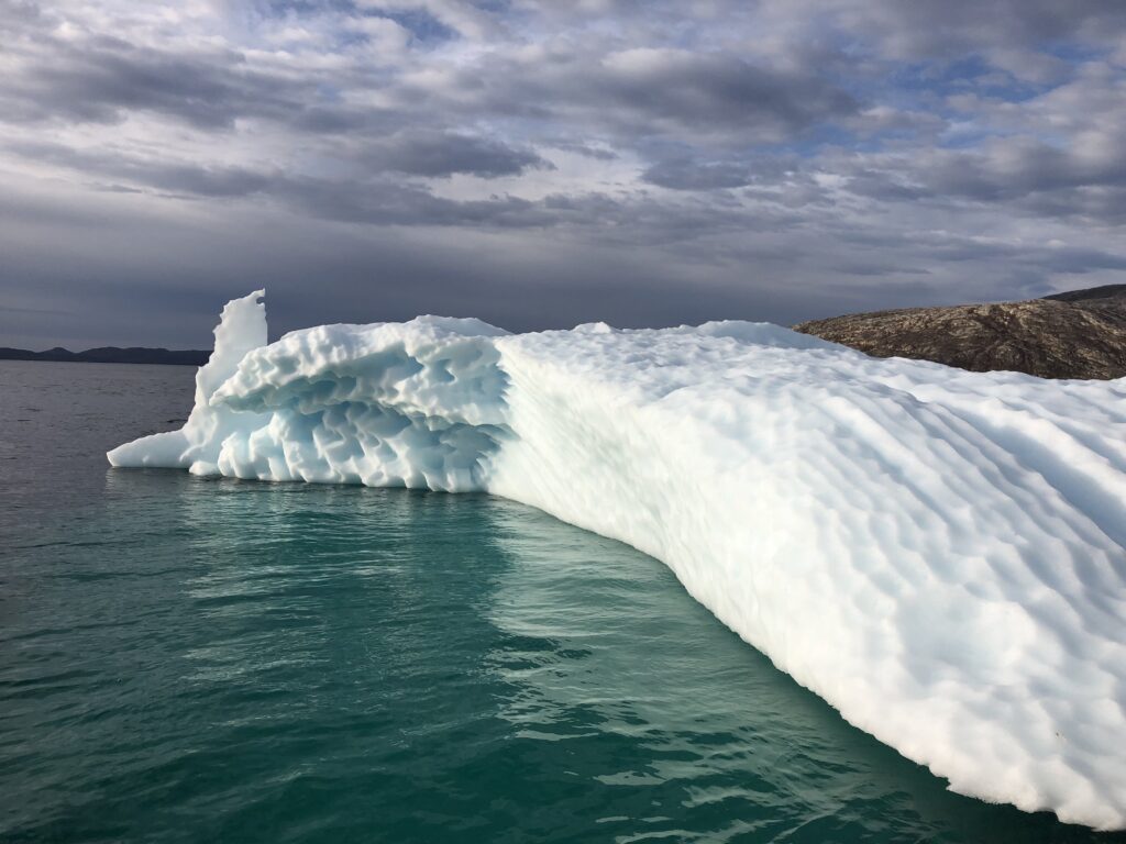 Iceberg in the fjord