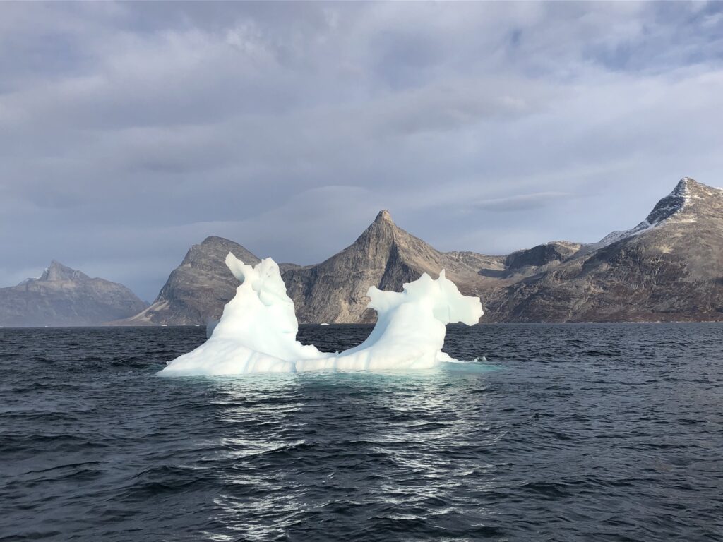 Iceberg in the fjord