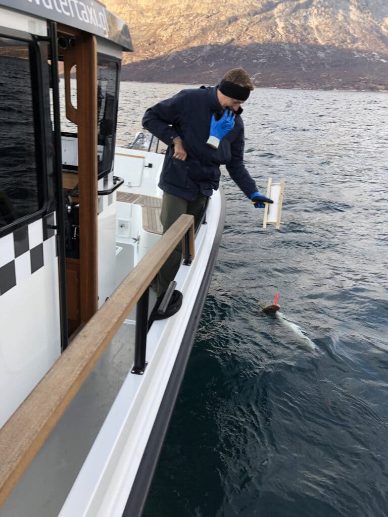 Man fishing