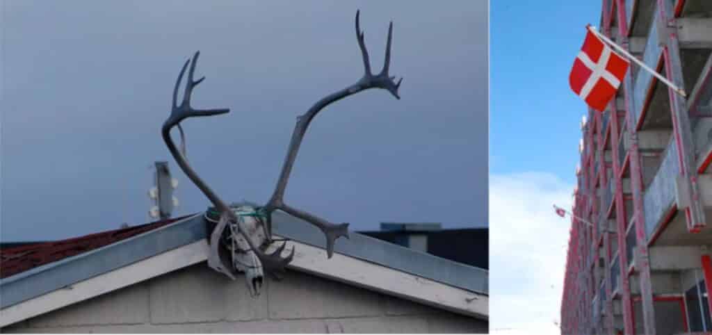 Reindeer horns and the danish flag