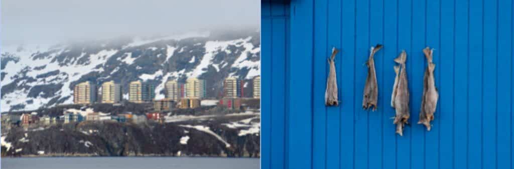 Nuuk and fish