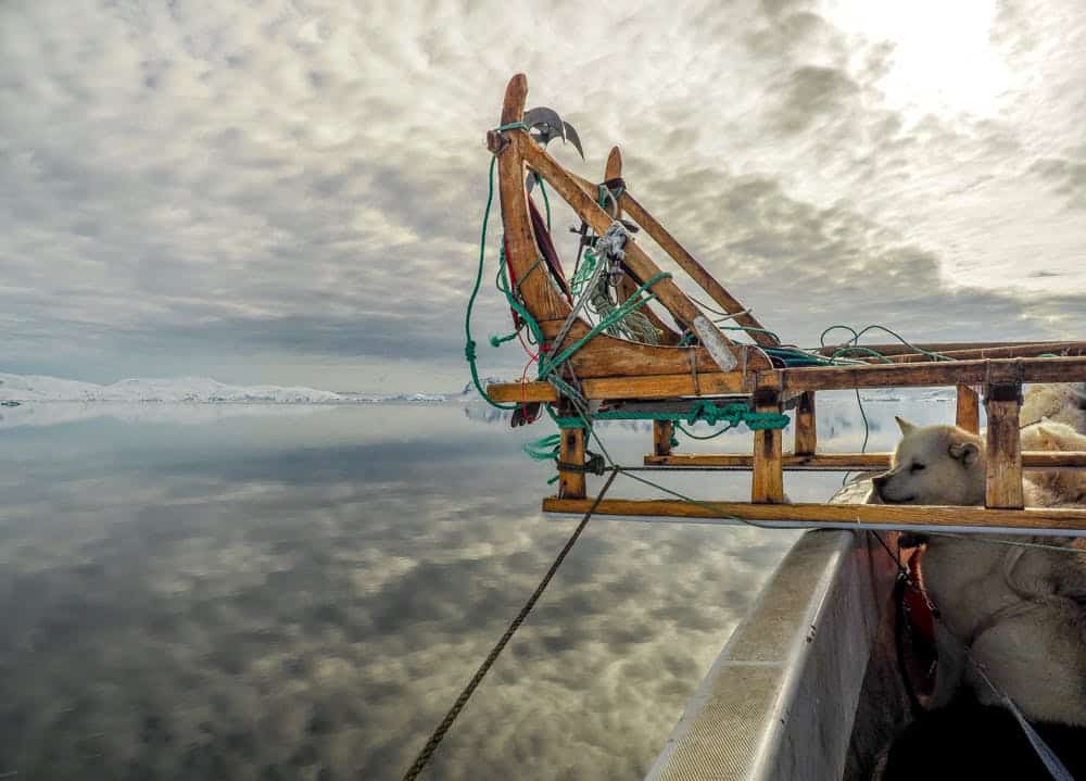 Sled dog and dog sled on a boat