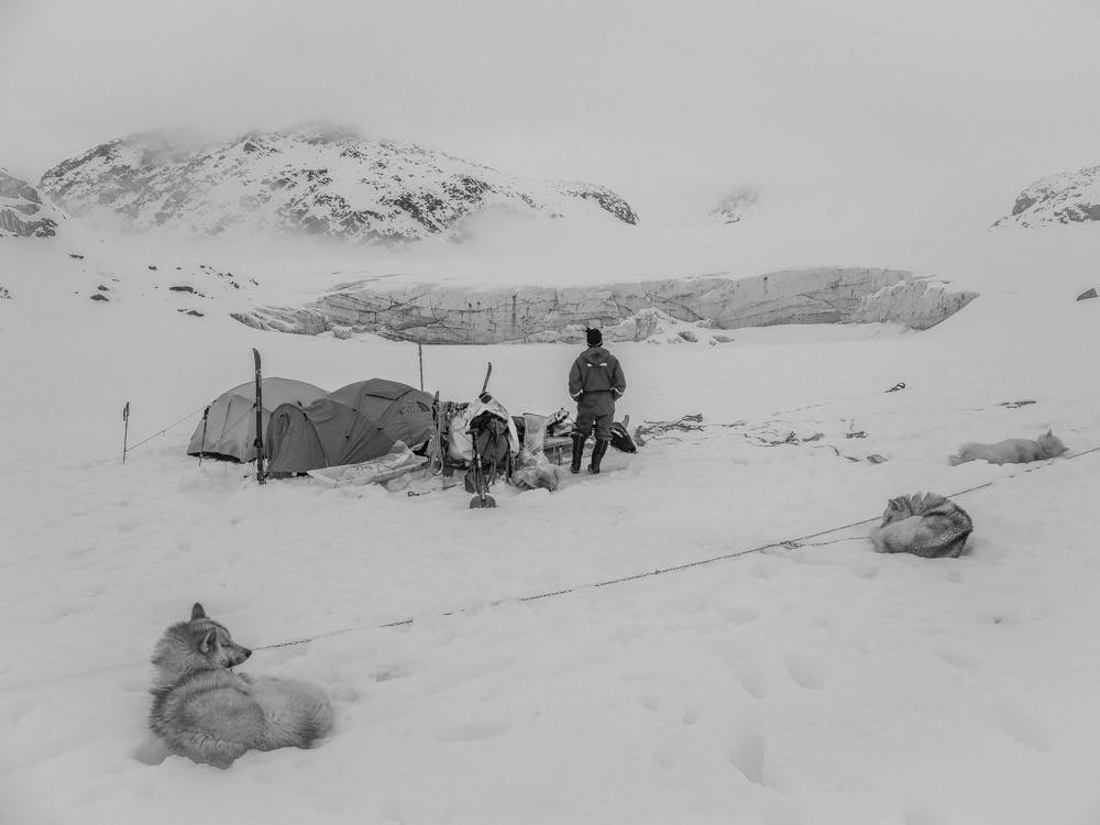 Dog sled expedition camp
