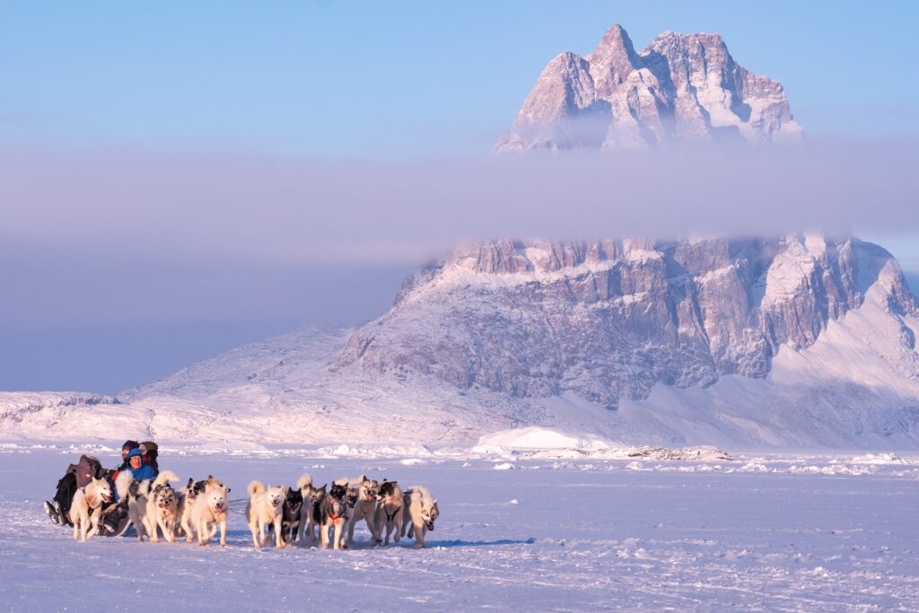 Dog sledding on the sea ice, mountain in the background