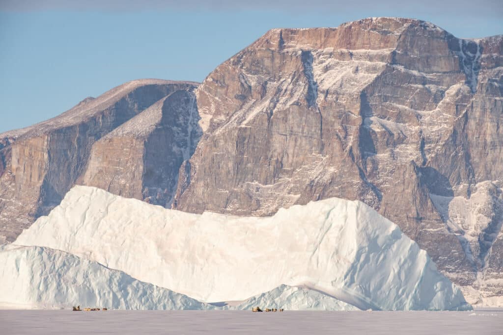 Dogsledding past enormous icebergs in the frozen Uummannaq Fiord in Greenland