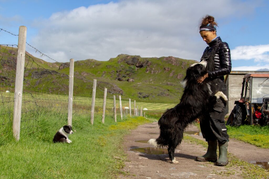 Dog jumping up a woman