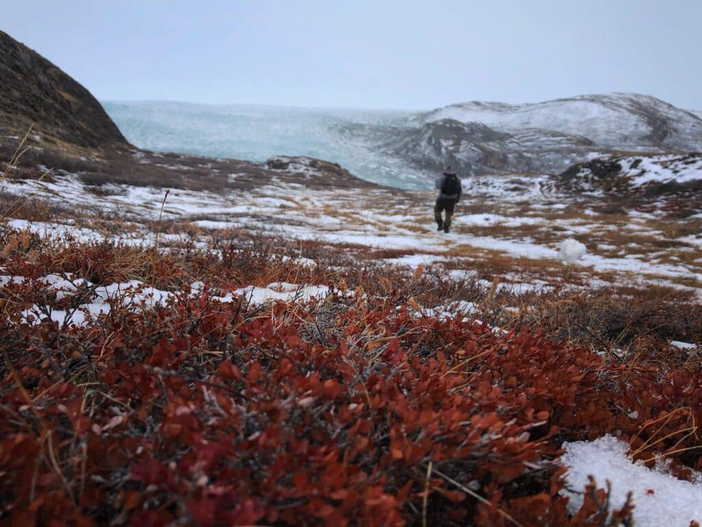Walking towards Russell Glacier