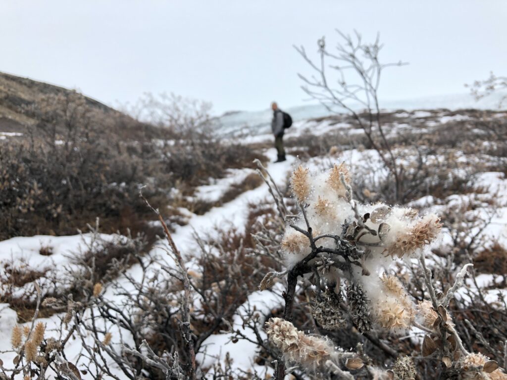 Plantation covered in snow and a man in the background
