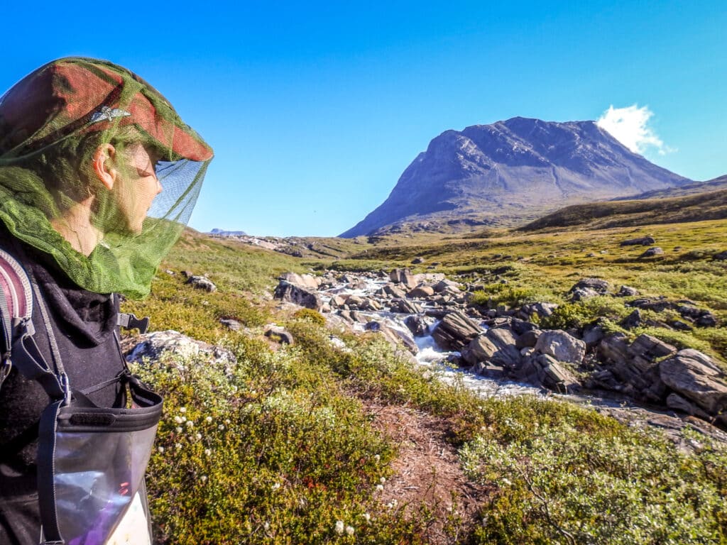 Hiker wearing a head net during a hike on summer vacation in Greenland