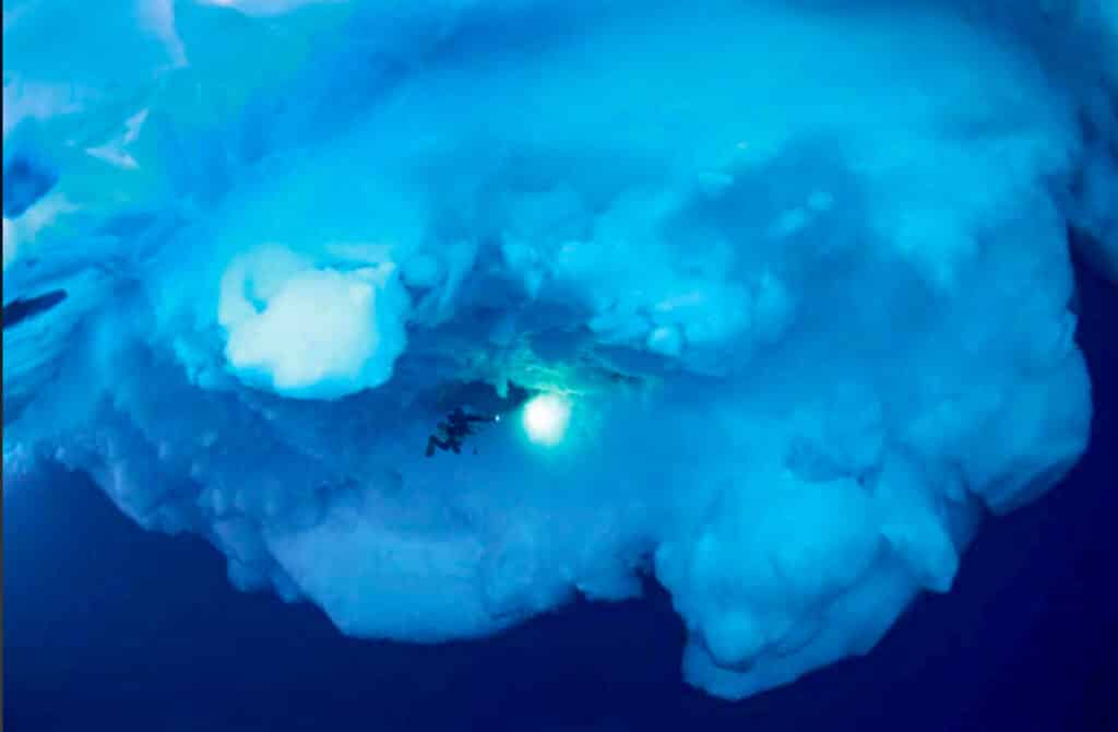Diving among icebergs - Tasiilaq