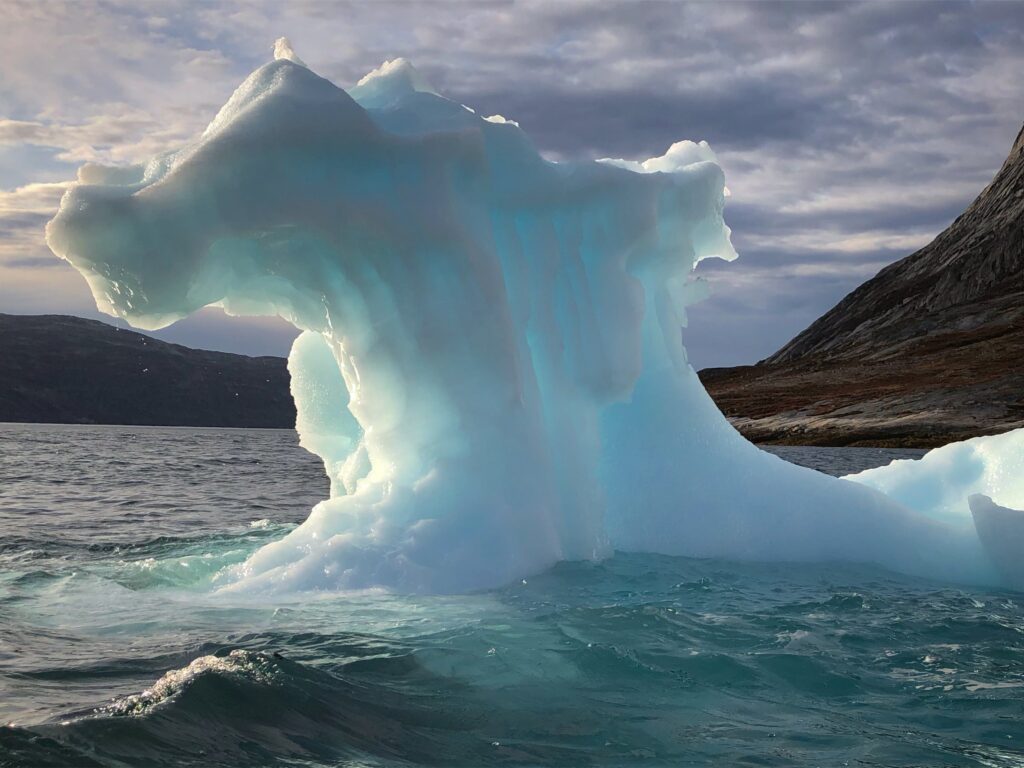 Iceberg in the water
