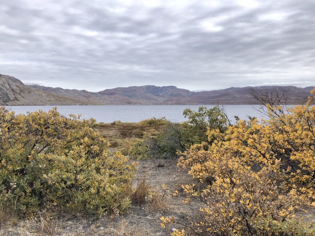 Kangerlussuaq