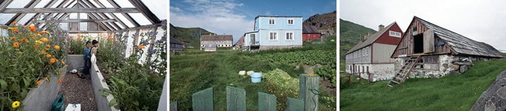 Houses and a greenery in the settlement of Lichtenau