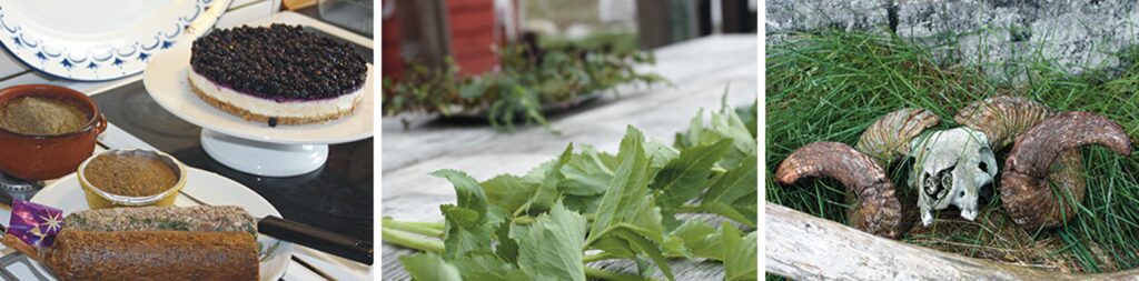 Life in the south of Greenland, kaffemik, gardening and a skull