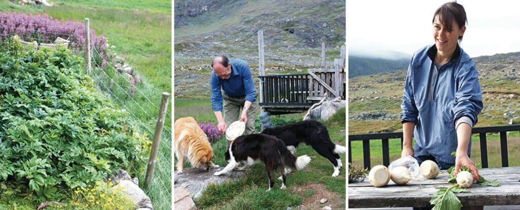 Couple doing garden work and feeding their dogs