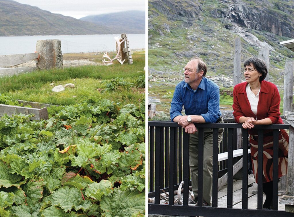 Vegetation and a couple living in the south of Greenland