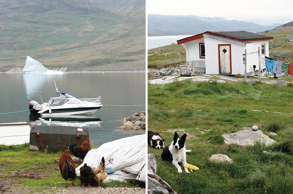 Life in the south of Greenland, dogs and chickens running free