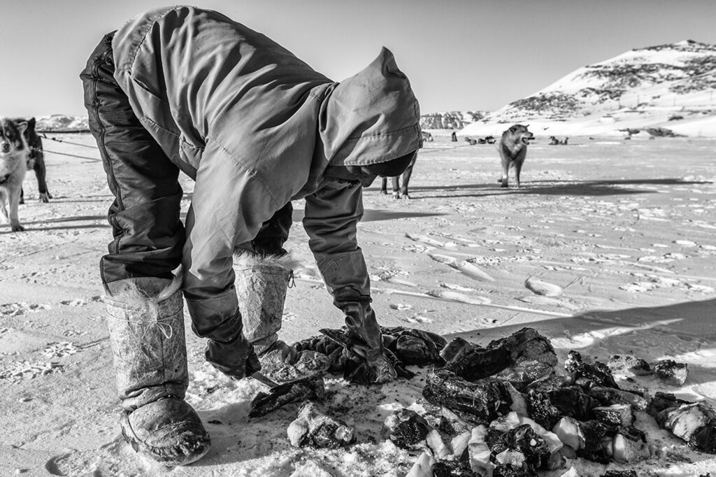 Hunter on the sea ice
