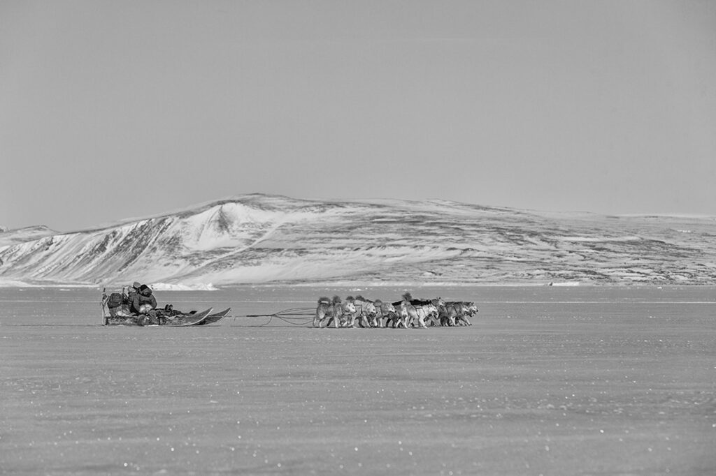 Hunter on a dogsled running across the sea ice in Greenland
