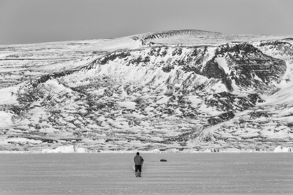 A greenlandic hunter walks towards his prey, a seal laying on the sea ice