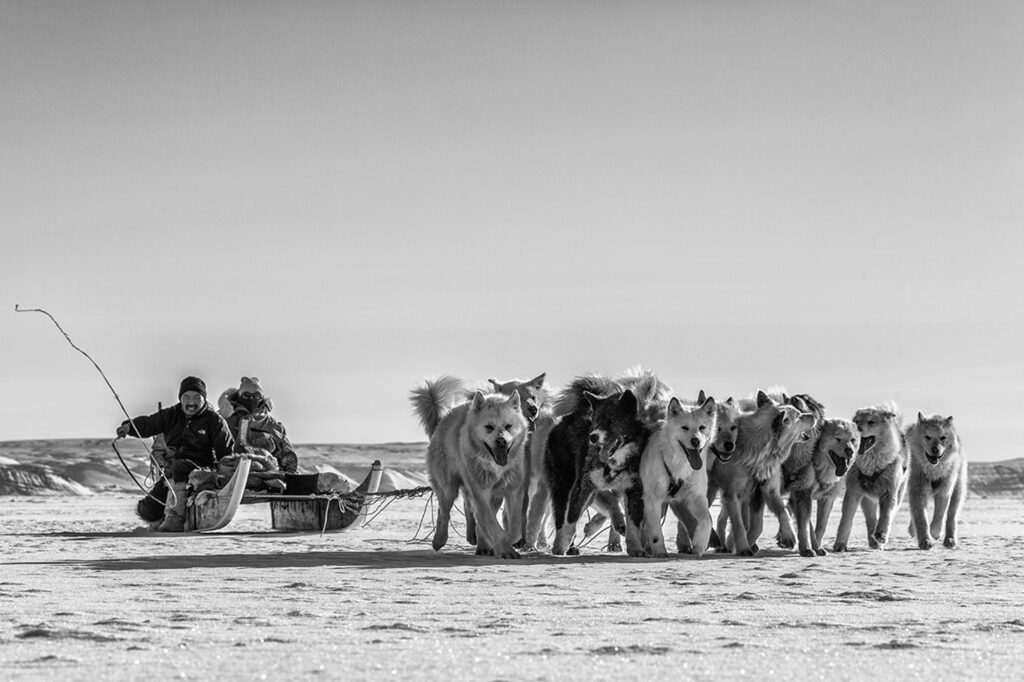 Musher using his whip