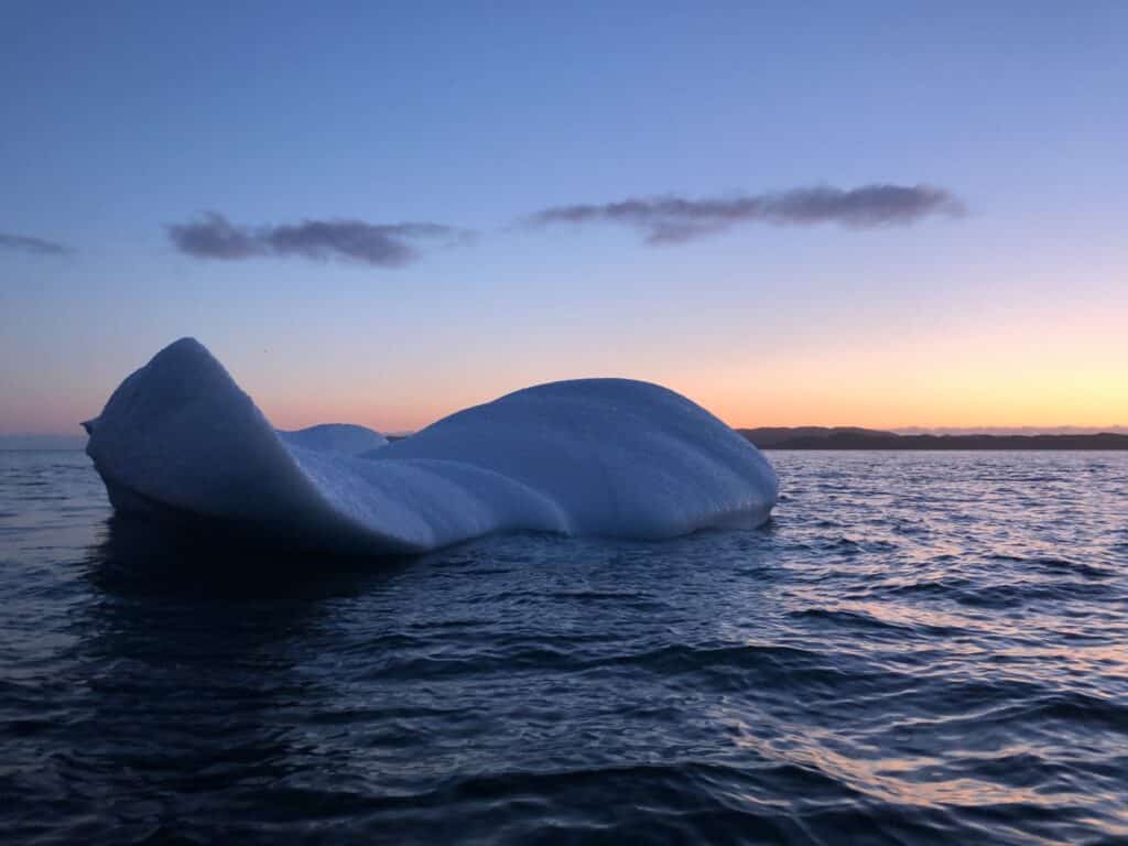 Iceberg in the water