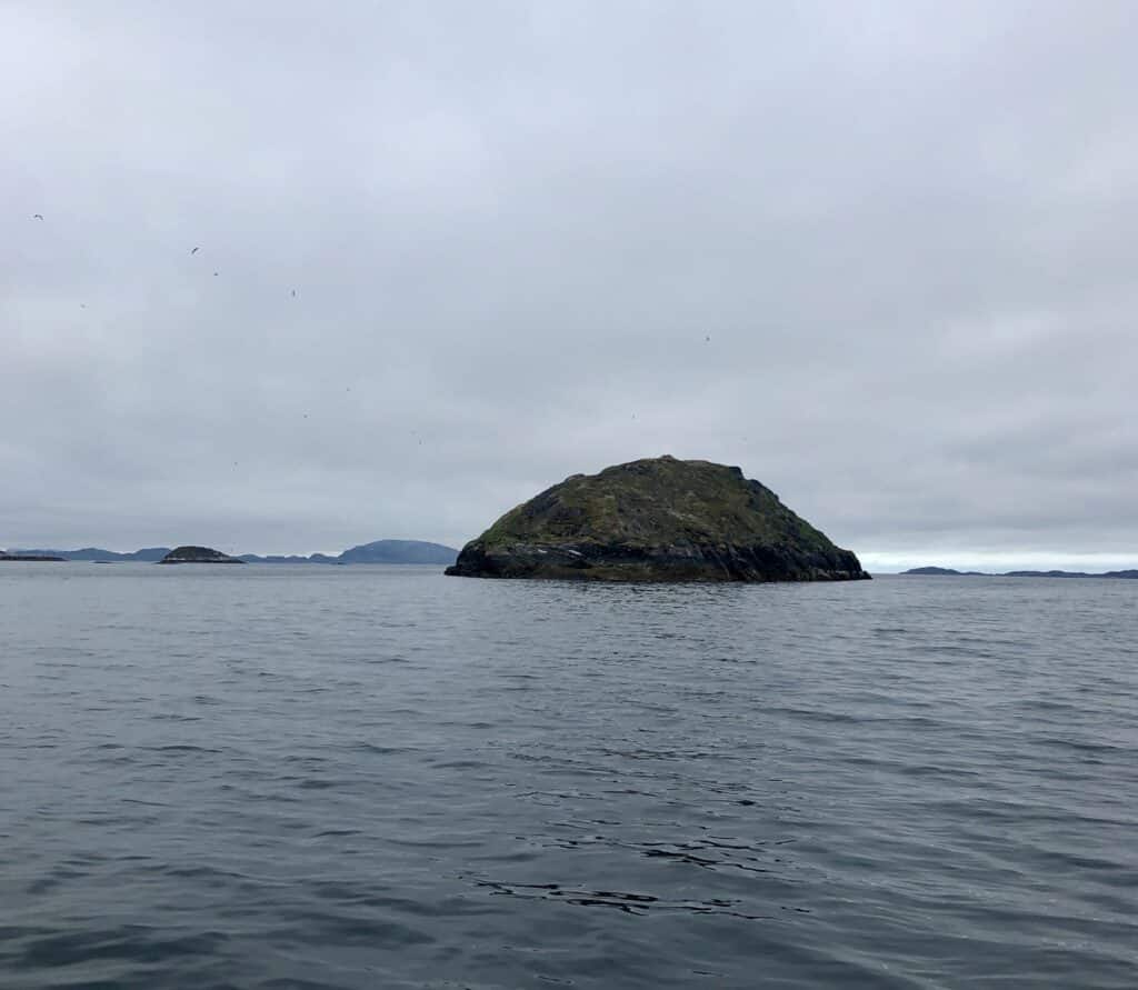 Puffin island outside Nuuk