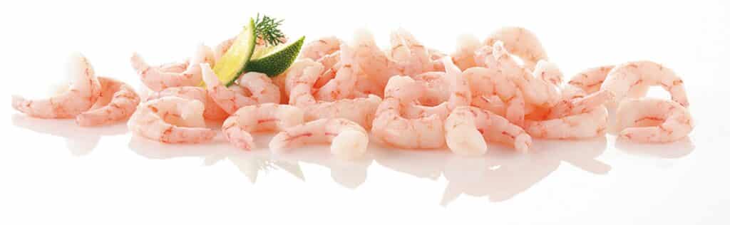 Raw shrimps from Greenland