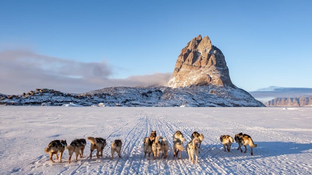 Uummannaq dogsledding