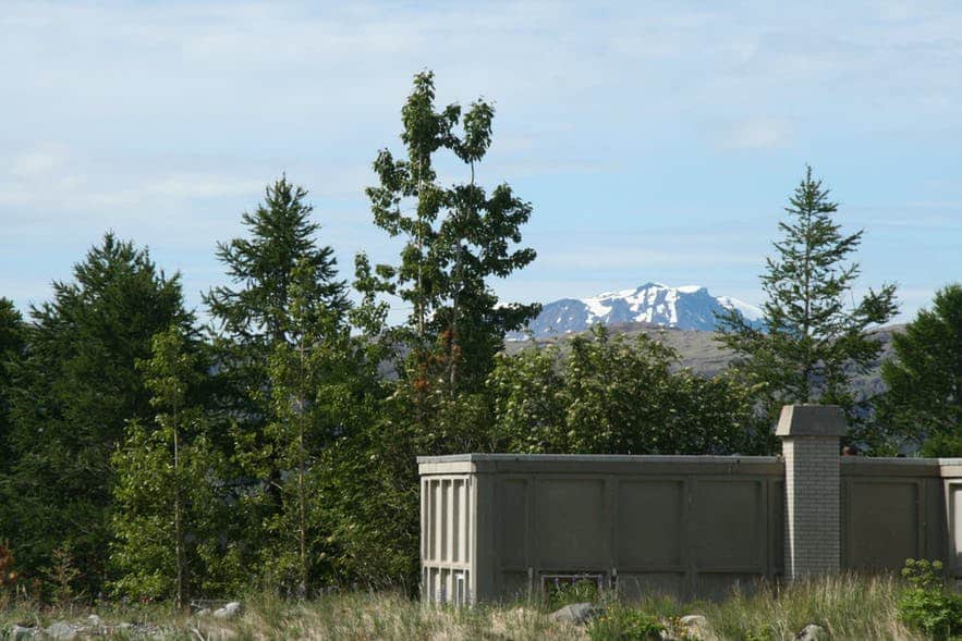 Tall trees near a house in the south of Greenland