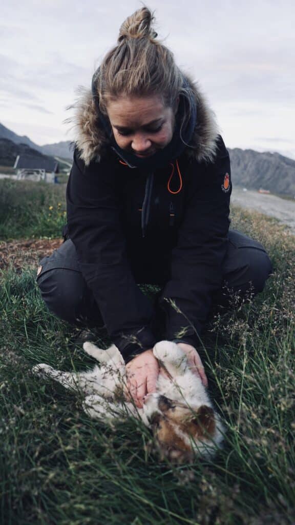 Woman playing with a sled dog puppy in the grass