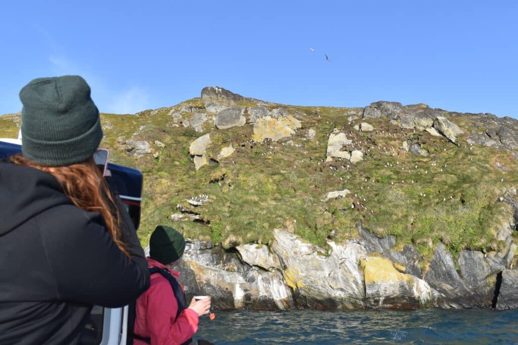 Woman taking pictures of puffins