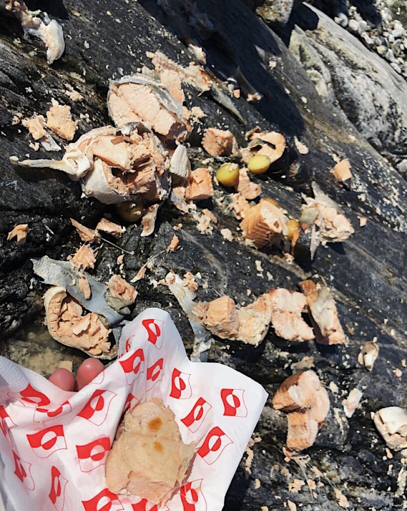 fish on stones as a kaffemik tradition