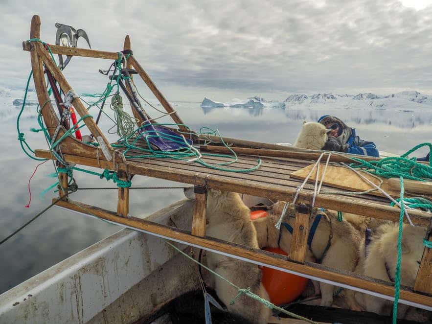 Dog Sled Expedition in East Greenland