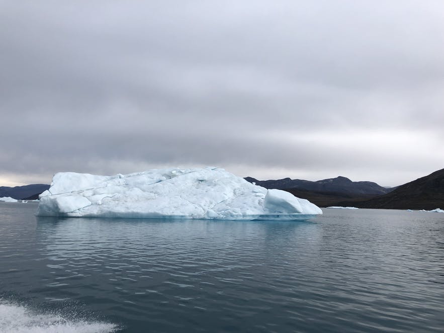 Coolest adventure in Nuuk Ice Fiord!