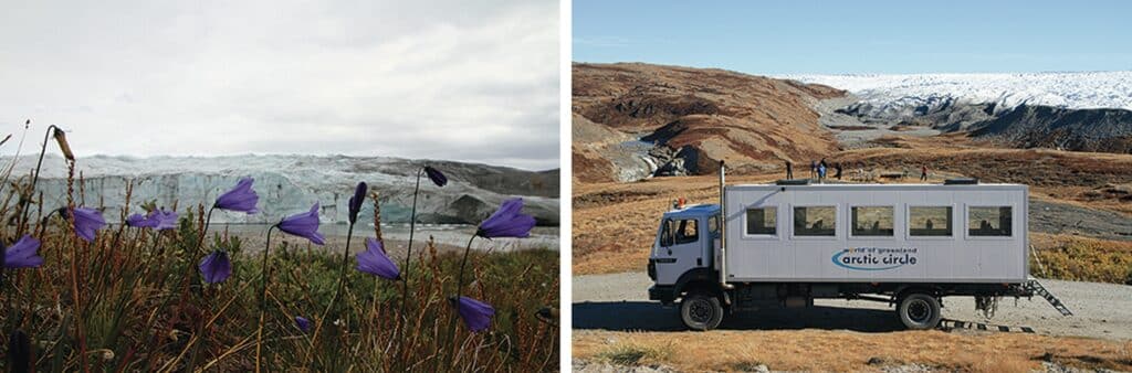 Flowers and a truck near the Ice Cap in Kangerlussuaq