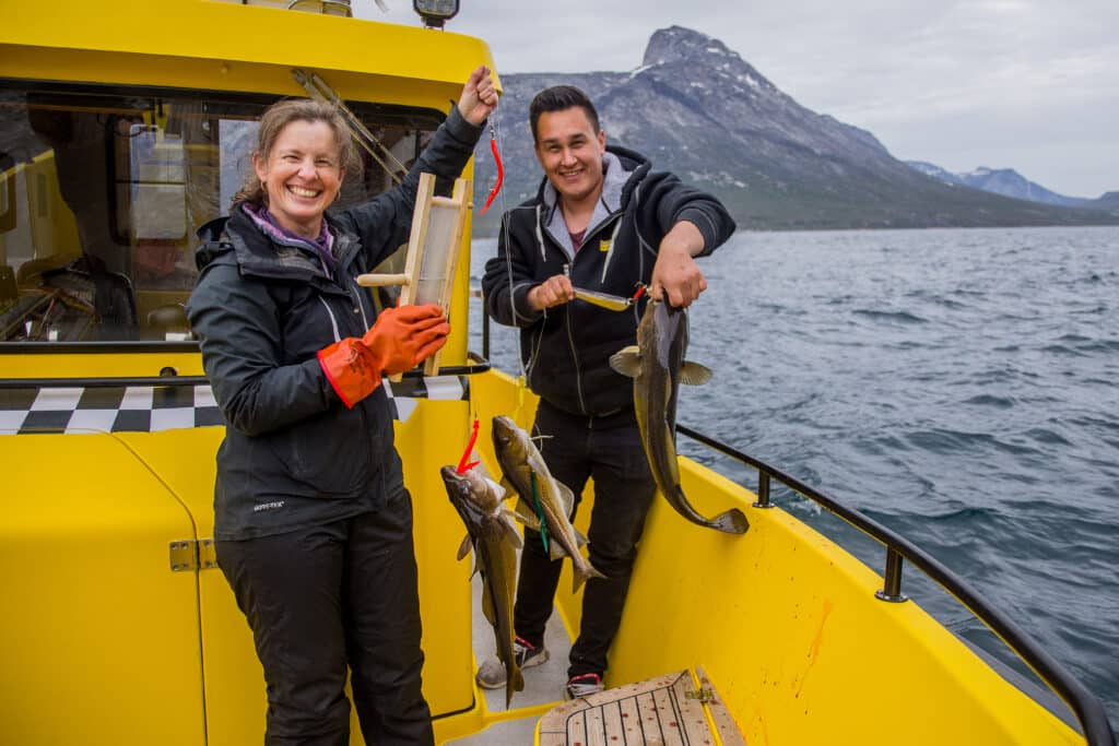 3 cod on one line on a fishing and boat tour on the Nuuk Fjord - summer - Guide to Greenland