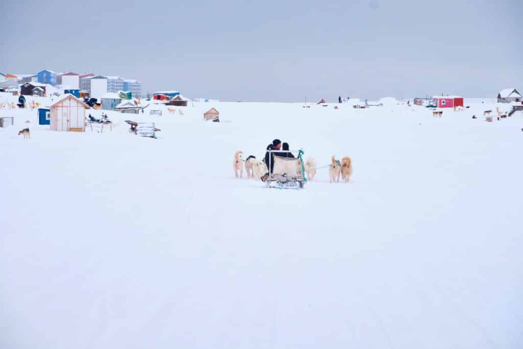 Doglsed going to home to Sisimiut