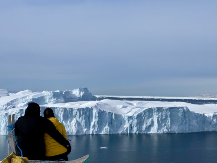 Gul rute, Sermermiut