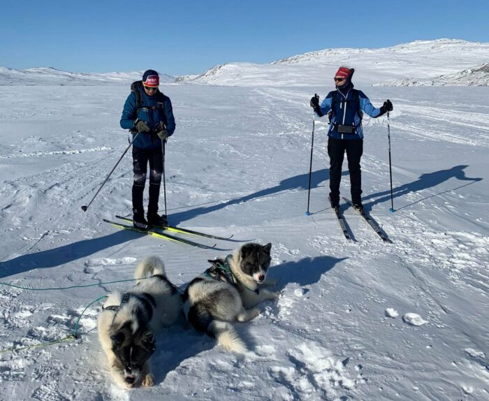 Happy puppies on the very long Amitsorsuaq Lake. Photo: Eavan Cully.