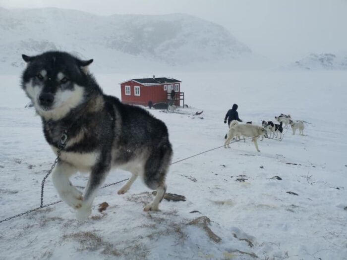 Waiting the weather out at Innajuattoq. Photo: Laura Balslev.