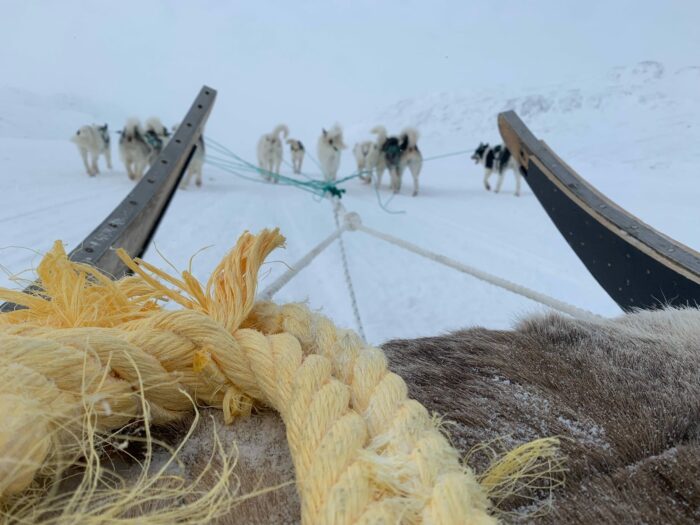 Sledding. Photo: Malene Olsen.